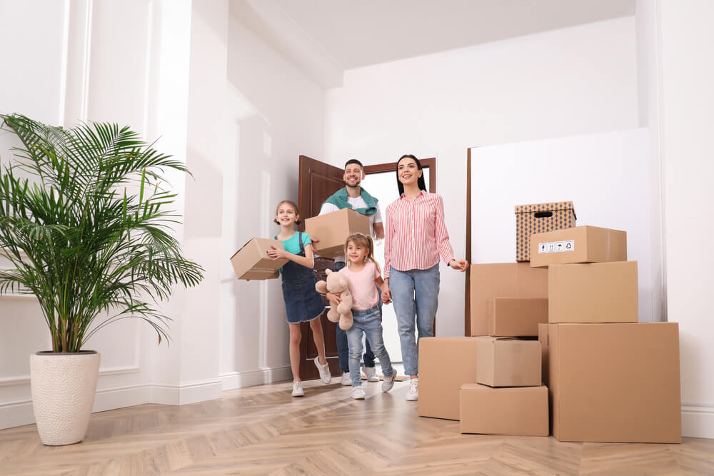 move-cleaning